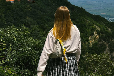 From Tbilisi: Kakheti Wine Region Tour with 9 Wine Tastings