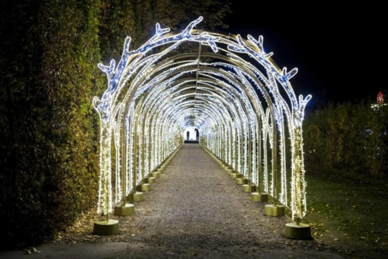 皇家花园灯光：维拉努夫宫夜间活动英语、西班牙语、德语、俄语、波兰语导览