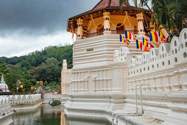 Sri Lanka Private Car & Driver | Custom Tours,Day trips