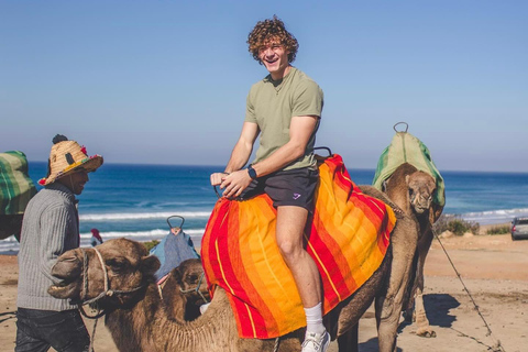 From Estepona: Tangier Day Trip with Ferry & Camel & Souk