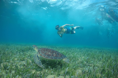 Private SNORKEL AND ISLA MUJERES Tour for GROUPS & FAMILIES