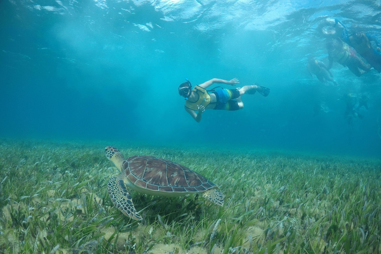 Privat SNORKEL OCH ISLA MUJERES-tur för GRUPPER &amp; FAMILJER