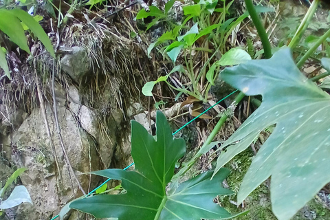 Lethe Mountain Valley Hiking