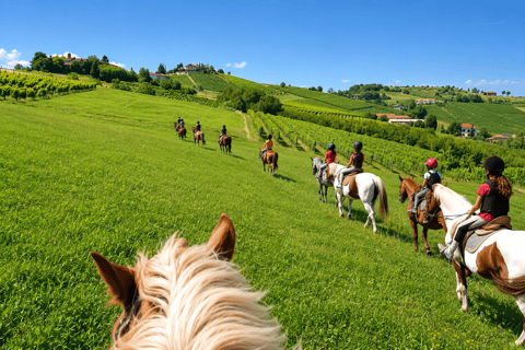 Monferrato: Horseback Riding in Nature with Lunch at a Farmhouse