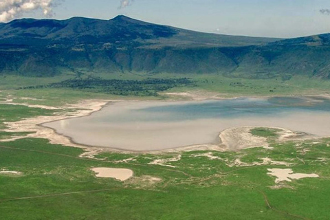 Desde Arusha: Safari de 2 días al Lago Manyara y al Ngorongoro ...