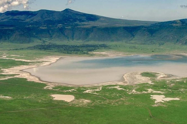 Desde Arusha: Safari de 2 días al Lago Manyara y al Ngorongoro ...