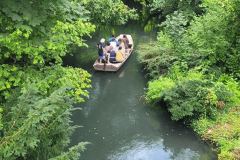 From Zurich Full-day private tour Basel and Colmar