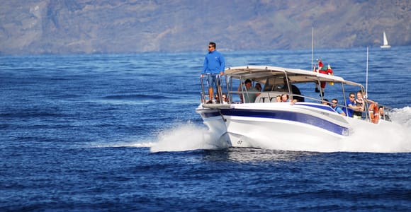 Los Gigantes: Whale or Dolphin Watching Sightseeing Tour and Swim in Masca