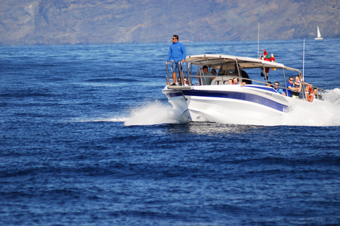 Los Gigantes: Wal- oder Delfinbeobachtungstour und Baden in Masca