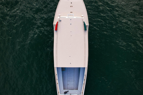 Portland: Casco Bay Afternoon Lighthouse Cruise