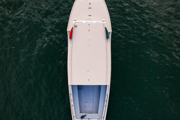 Portland: Casco Bay Afternoon Lighthouse Cruise