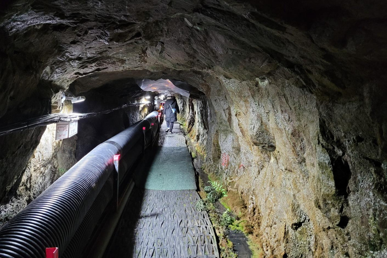 Visite privée de la DMZ au départ de l&#039;aéroport d&#039;IncheonSéoul : Visite d&#039;une jounée privée de la DMZ avec déjeuner barbecue et transferts