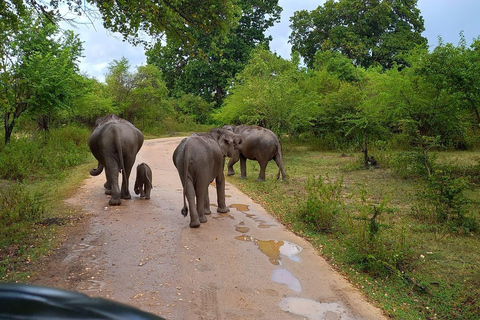 Z Galle / Mirissa / Hikkaduwa - Udawalawa Safari Tour