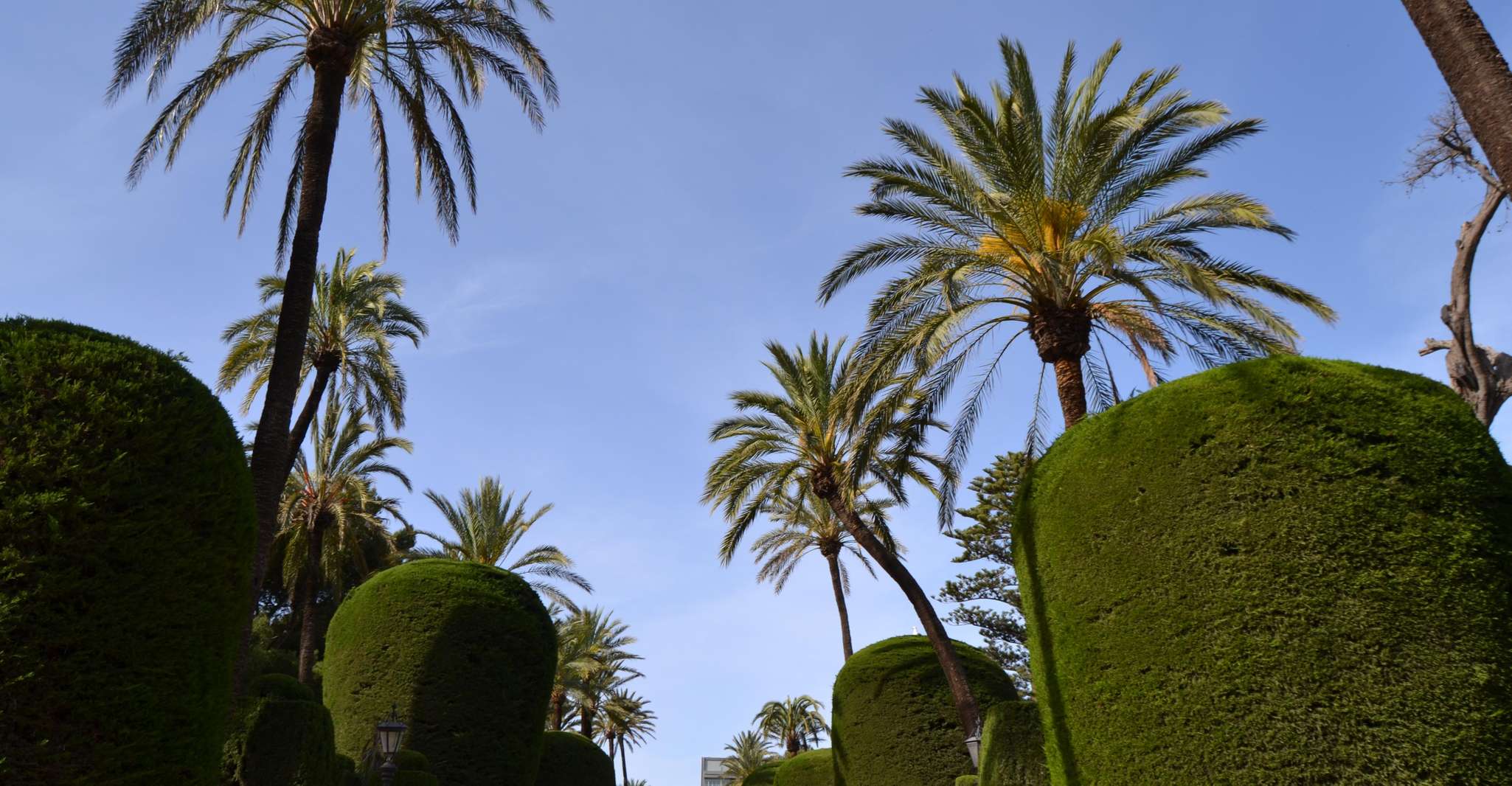 French Guided Tour of Cadiz with a Local Guide photo 7
