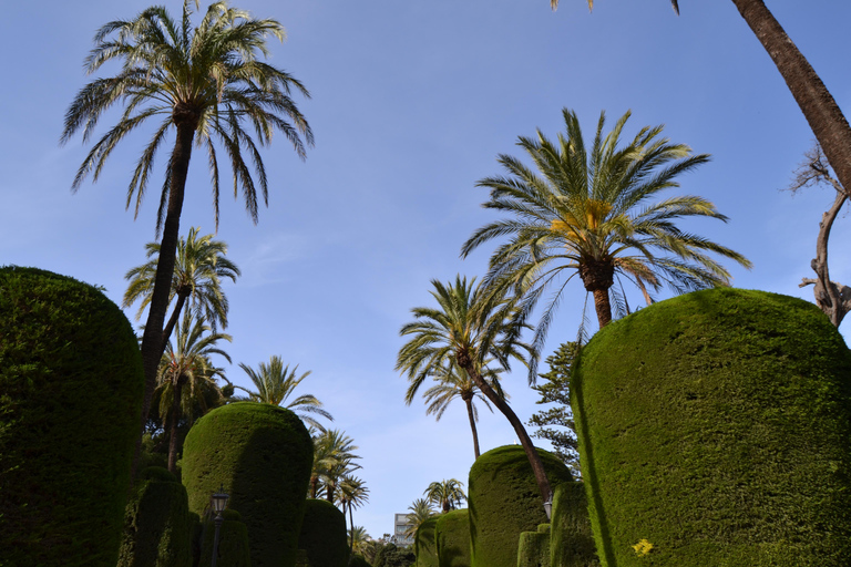 Visita guidata in francese di Cadix con una guida locale