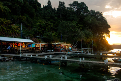 Rotorua: Excursión nocturna en kayak Starlight Gourmet con cena