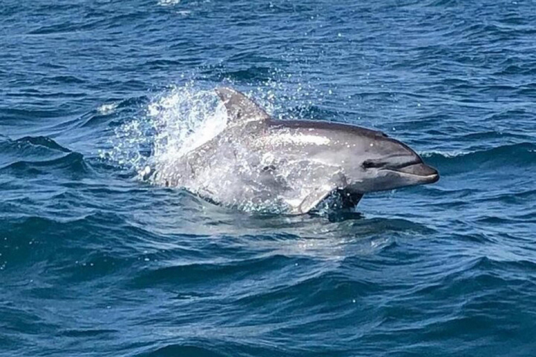Cagliari: Catamaran Tour, Swimming, Snorkeling, & Prosecco Cagliari: Sailing Tour with Snorkeling and a Prosecco Toast