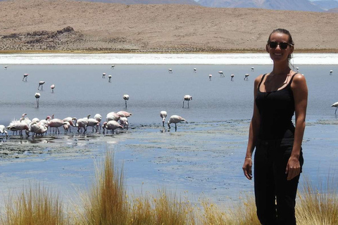 Tour della Piana di Sale di Uyuni da San Pedro de Atacama 3D/2N+Hostal