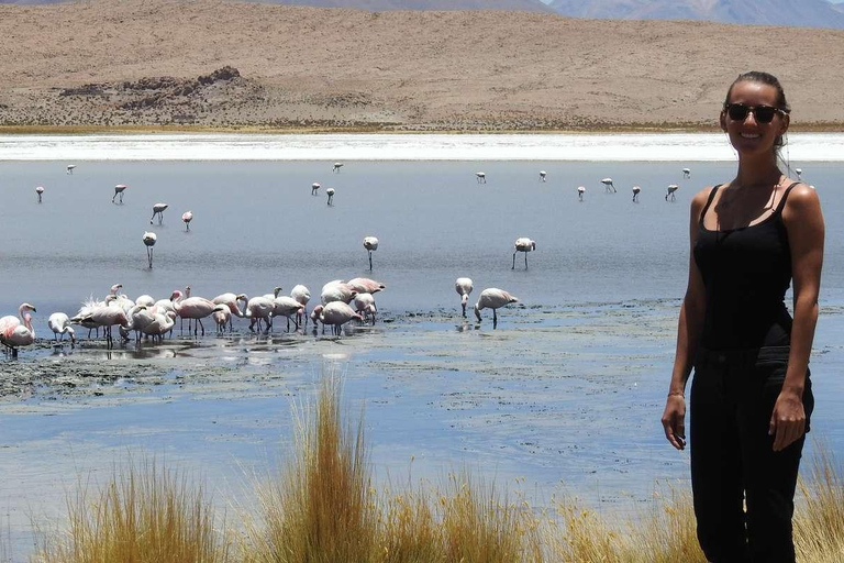 Uyuni Salt Flat Tour från San Pedro de Atacama 3D/2N+Hostal