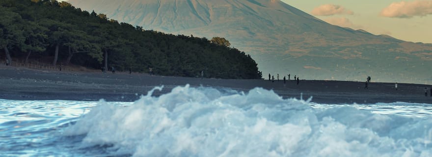 Shizuoka : visite privative de 6 heures et thé japonais