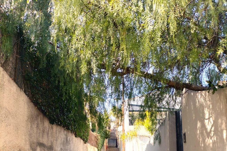 Aix: Safari in Marseille, Cassis & Bootsfahrt zu den CalanquesKleine Gruppe