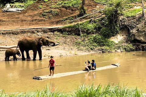 Chiang Mai: Living Green Elephant Sanctuary & Intanon Hiking Chiangmai: Elephant Sanctuary & Inthanon Hiking