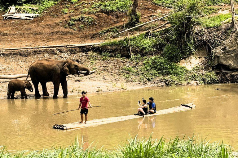 Chiang Mai: Living Green Elephant Sanctuary & Intanon Hiking Chiangmai: Elephant Sanctuary & Inthanon Hiking