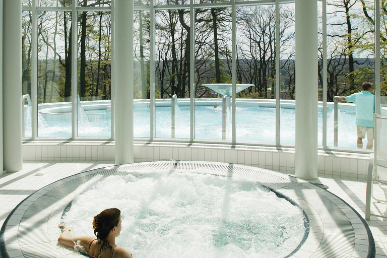 Luxembourg: Thermal Spa, Castle and Wine Private Day Tour