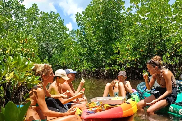 UZI ISLAND MANGROVE CONSAVATION WITH KAYAK TOUR PRIVATE TOUR WITH TRANSFER INCLUDED