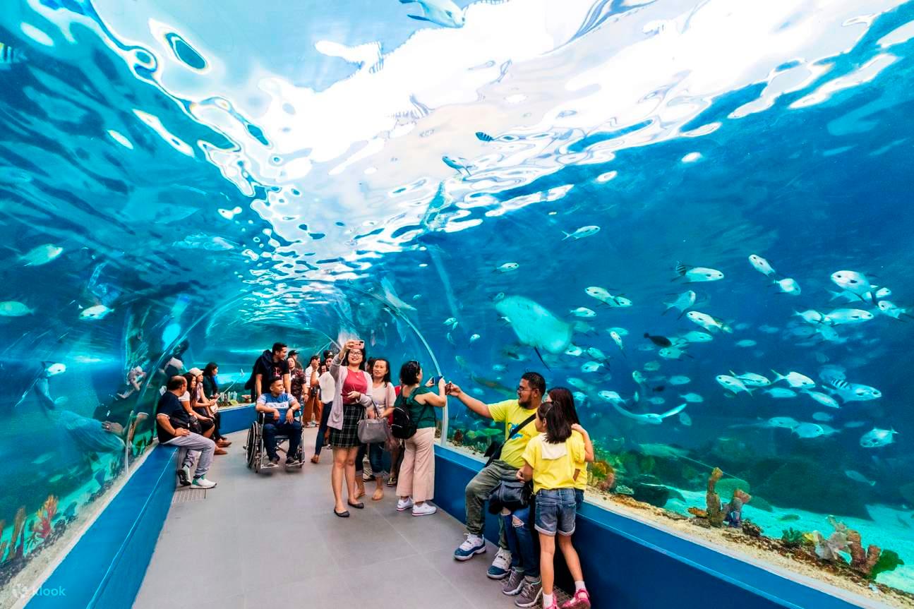 Cebu: Ocean Park: Eintrittskarte mit privatem Transfer