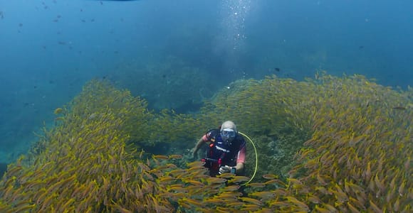 Phuket: Try Scuba Diving at Racha Yai & Racha Noi Islands