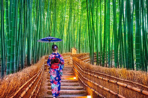Kyoto Full Private Customizable Tour with English Driver