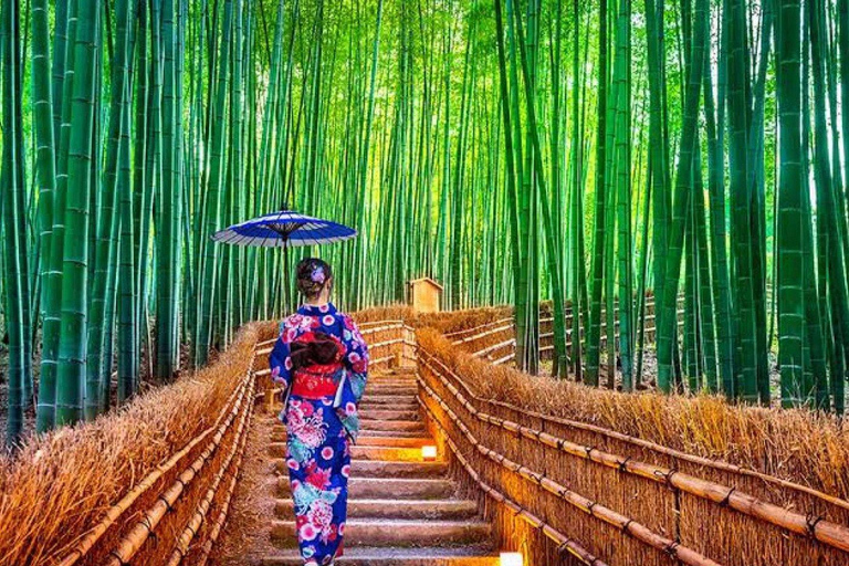 Kyoto Full Private Customizable Tour with English Driver