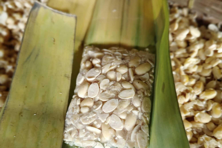 Yogyakarta: Kulon Progo Village Cycling Tour with Snacks