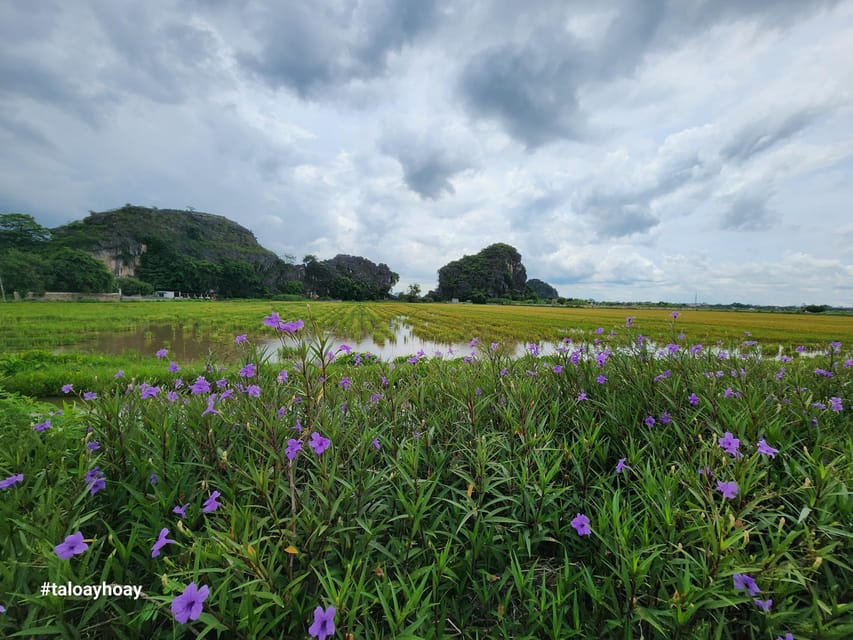 Z Hanoi Hoa Lu Tam Coc Lub Trang An Jaskinia Mua GetYourGuide