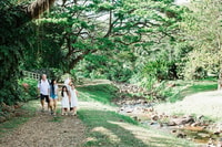 Kauai, McBryde Garden Self Guided Visit - Housity