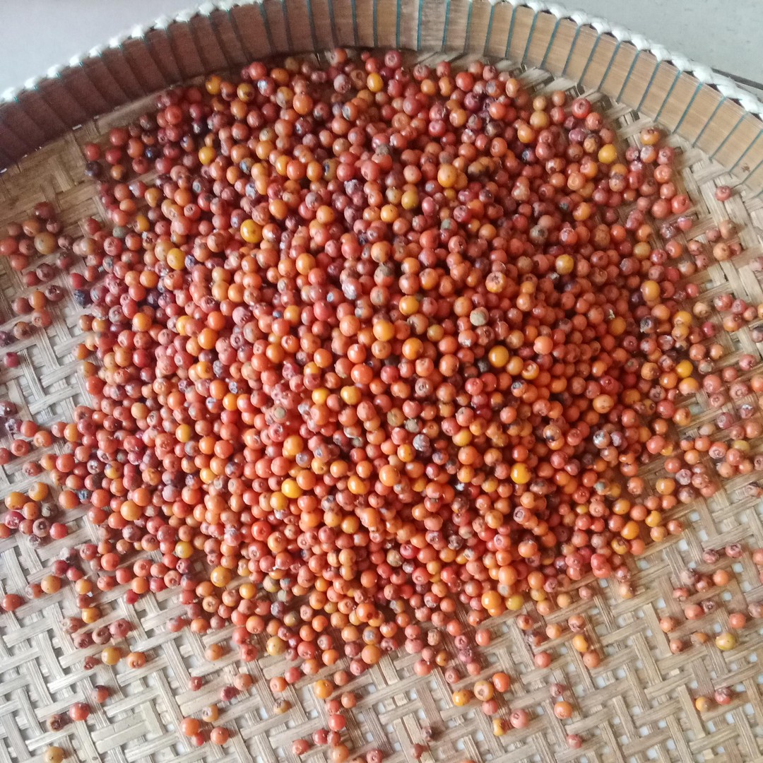 Colagem de mídia