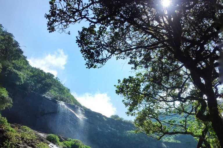 Kandy: Hidden Jungle Infinity Pool & Waterfall Expedition