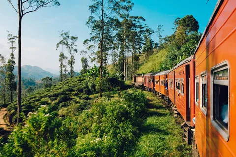 From Nuwara Eliya: Ella Scenic Train Ride Reserved Seats