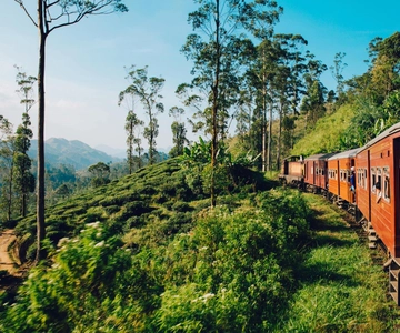 De Nuwara Eliya: Passeio panorâmico de comboio em Ella com lugares reservados