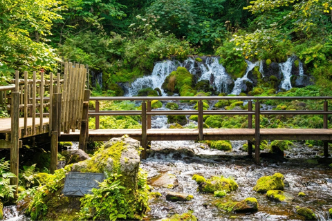 Sapporo: Lake Toya, Noboribetsu & Summer Special Day Trip 08:10 am meet at JR Sapporo Station North exit