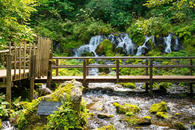 Sapporo: Lake Toya, Noboribetsu & Summer Special Day Trip 08:10 am meet at JR Sapporo Station North exit