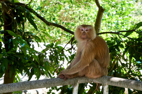 Krabi: Esplora la grotta di Tham Khlang e l&#039;avventura della Laguna Blu