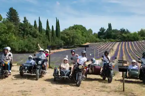 From Aix-en-Provence : Lavender & Wine Sidecar Tour