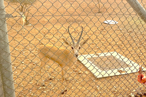 Riyadh Premier Private Edge of The World Tour Sunrise/Sunset