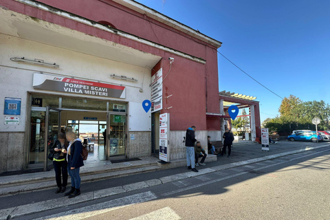 From Sorrento: Pompeii Skip-the-Line, Train Tkt & Tour