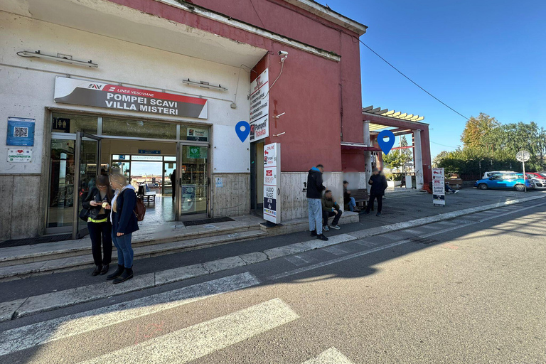 From Sorrento: Pompeii Skip-the-Line, Train Tkt & Tour