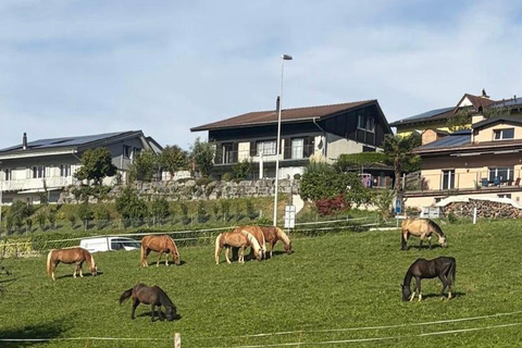 Lucerne: Private Horseback Riding & Swiss Aperitif