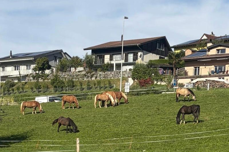 Lucerne: Private Horseback Riding & Swiss Aperitif