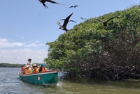 Tumbes, Santuario Nazionale di Mangrove - Hizvo